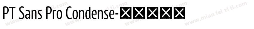 PT Sans Pro Condense字体转换